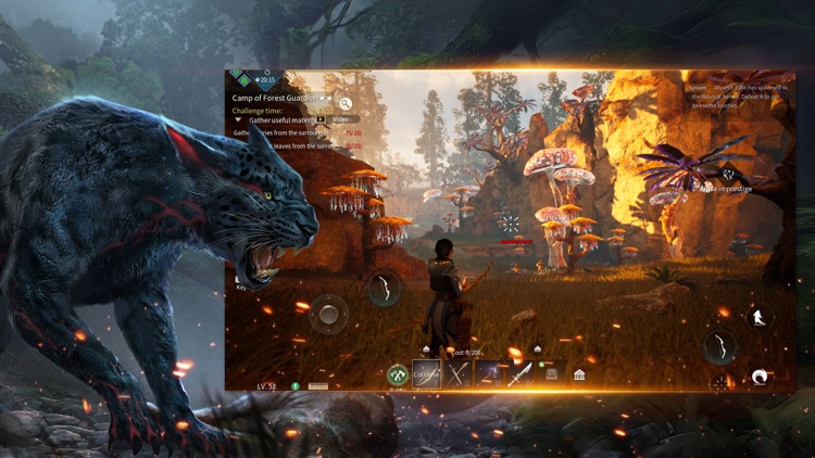 Dark and Light Mobile