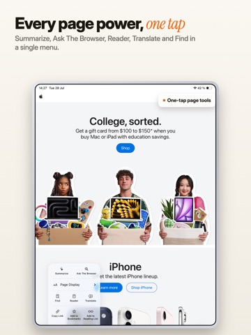The Browser - Private AI iPad screenshot