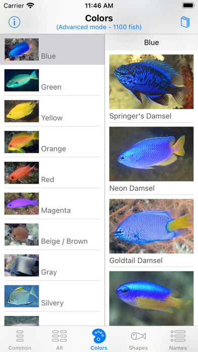 Philippines Fish ID Screenshot
