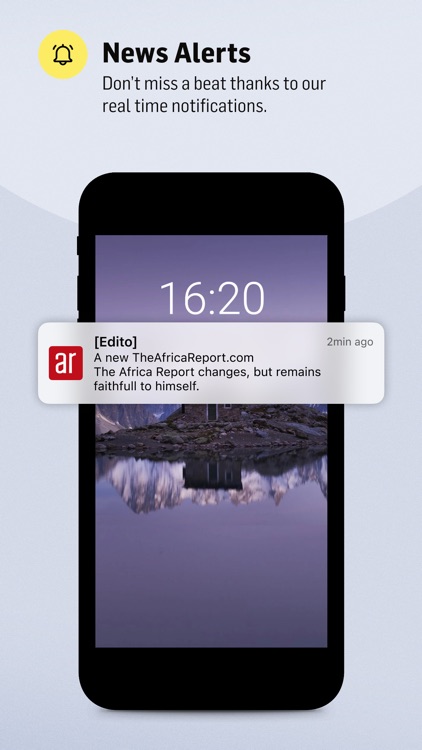 TheAfricaReport.com screenshot-4