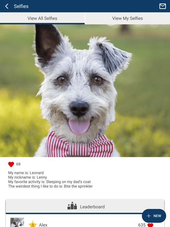 Ark Animal Hospital iPad screenshot 4 - Business app