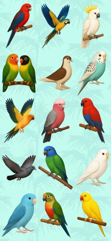 The Colourful Bird Collection Screenshot 10 of 10