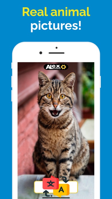 Animal Sound: Education Game Screenshot