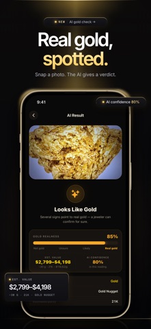 Gold Detector & Identifier screenshot 1