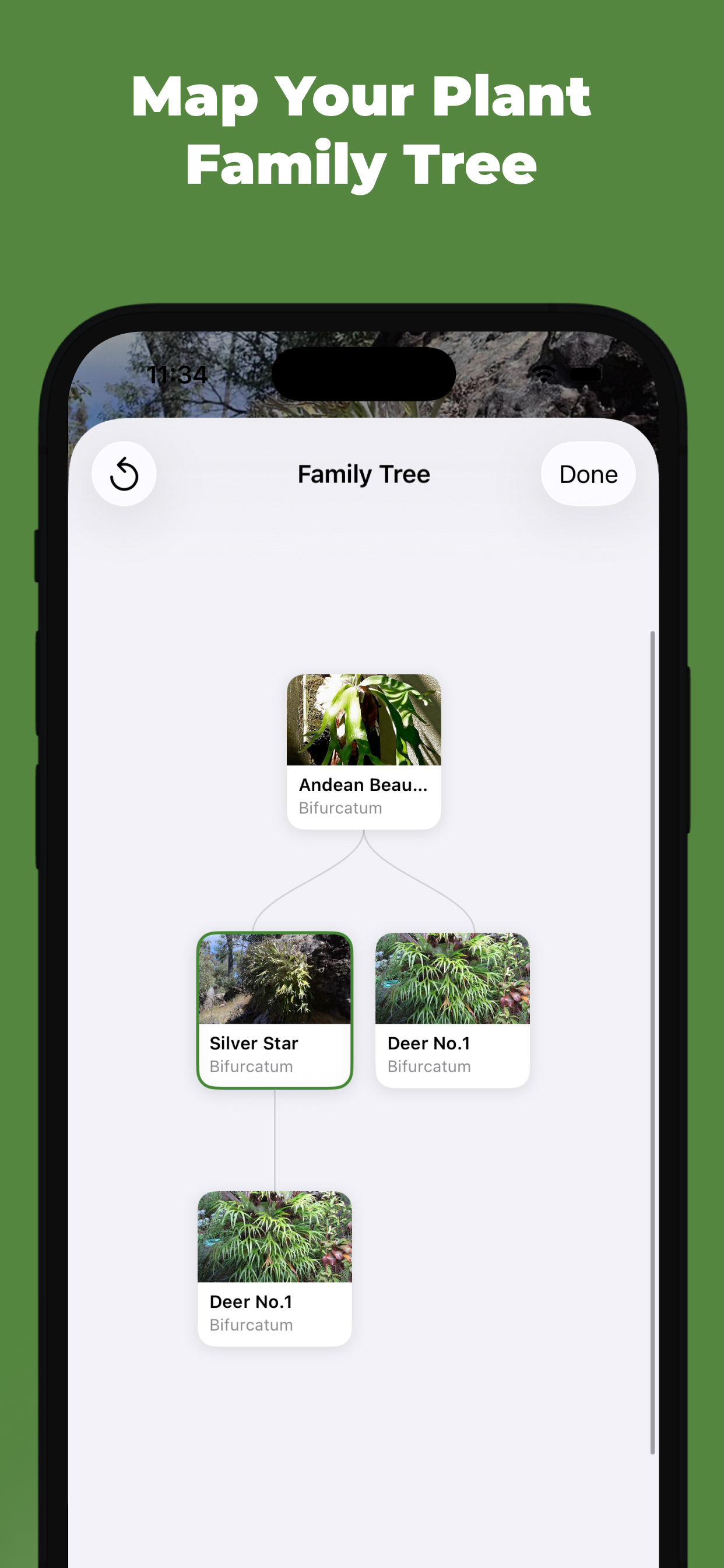Fern: Plant Journal & Care screenshot 4