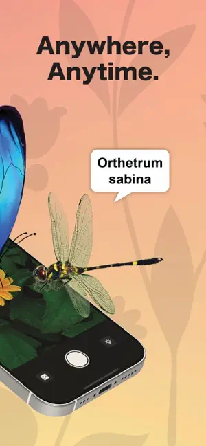 Insect ID: Bug ID Bug Finder screenshot 2