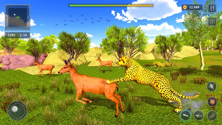 Wild Cheetah Simulator 3D screenshot-4