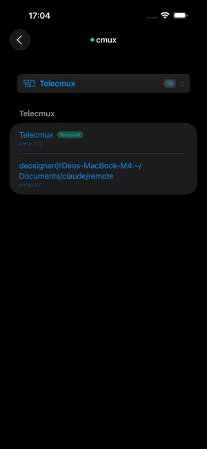 Telecmux iPhone screenshot 2