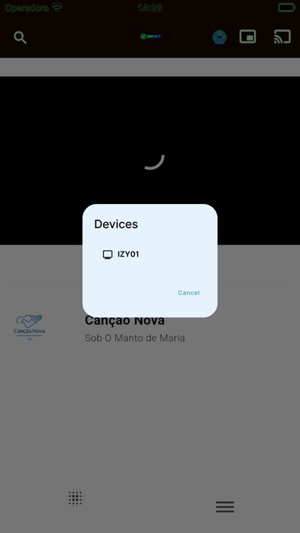 Dianet TV screenshot-8