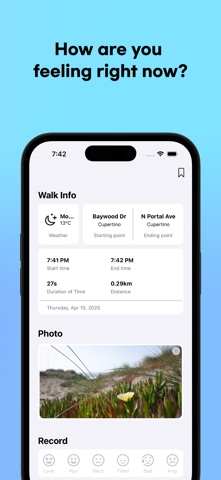 Stepic – My Walking Diary Screenshot 5 of 6