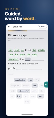 Scripture Brain: Bible Memory Screenshot 4 of 8