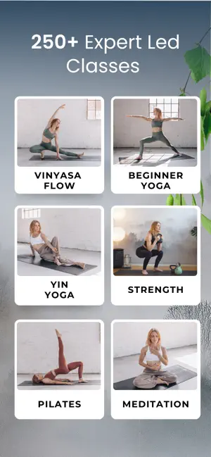 Flow Queen screenshot 3