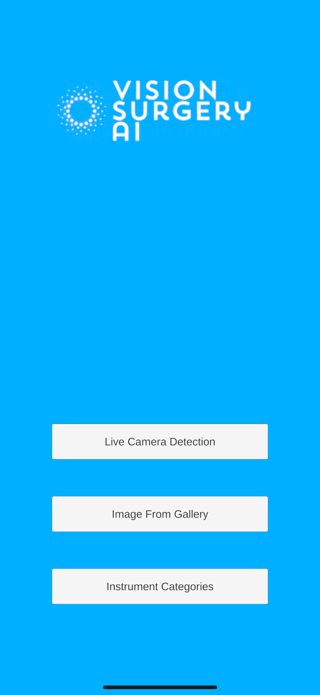VSAI Detection screenshot 2