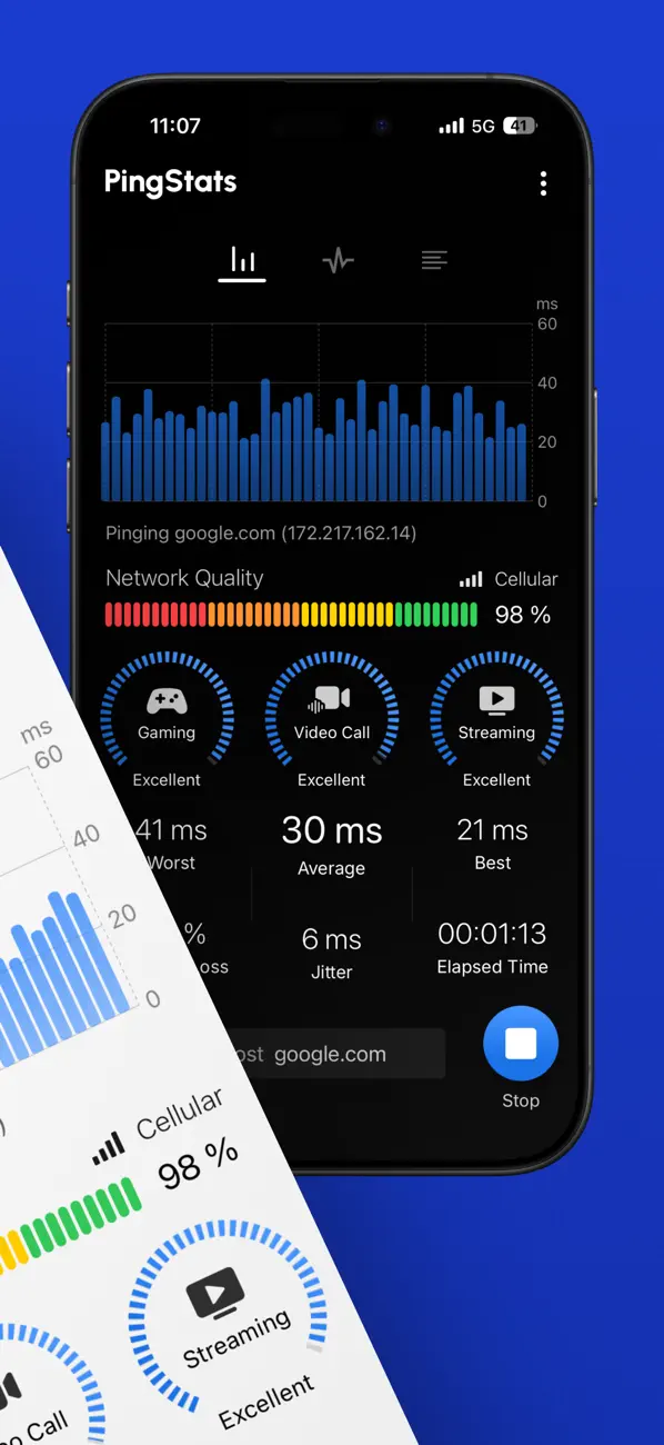 Ping Stats – Network Analyzer iOS app screenshot showing feature 2