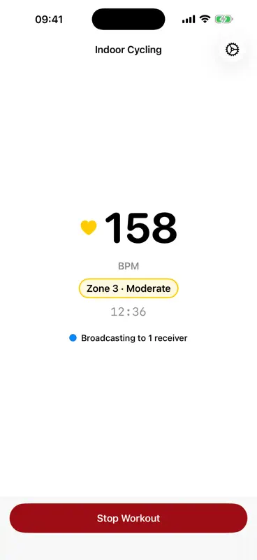 Pulse Link: Heart Rate BLE screenshot 5 of 5