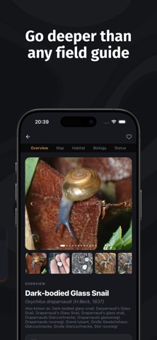 Snail Identifier: Shell & Slug Screenshot 3 of 6