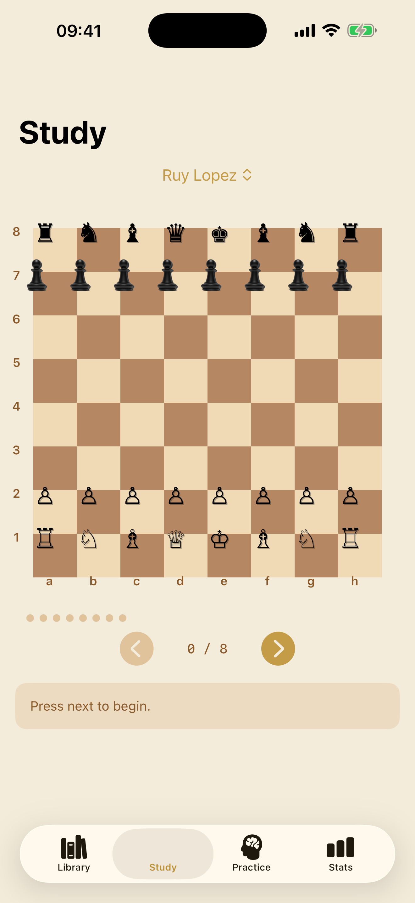 Lattice Openings screenshot 2