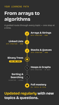VisiGrab: Algorithms & DSA screenshot 4