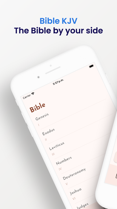 Bible KJV App Screenshot