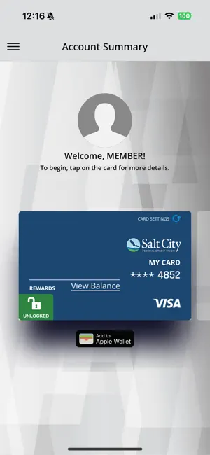 Salt City Visa screenshot 2
