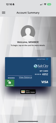 Salt City Visa Screenshot 2 of 6