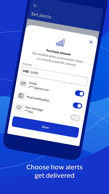 Visa Purchase Alerts