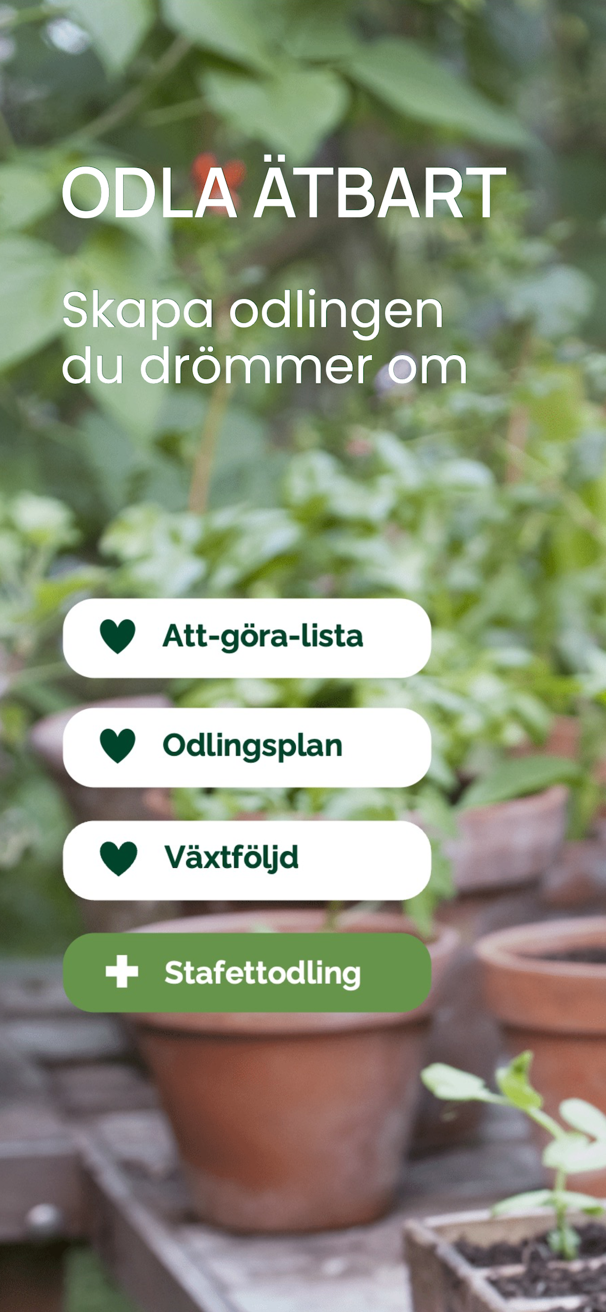 Odla ätbart