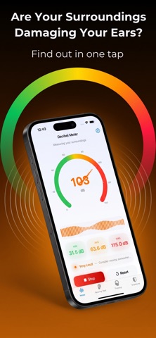 Hearing Decibel Pro Screenshot 3 of 4