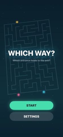 Which Way? Simple Maze Puzzle iPhone screenshot