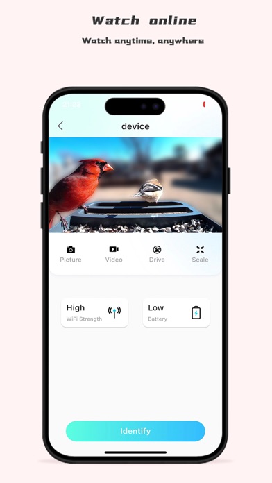 vakiav Screenshot
