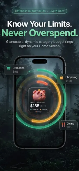 OuchMoney: Budget Planner screenshot 3