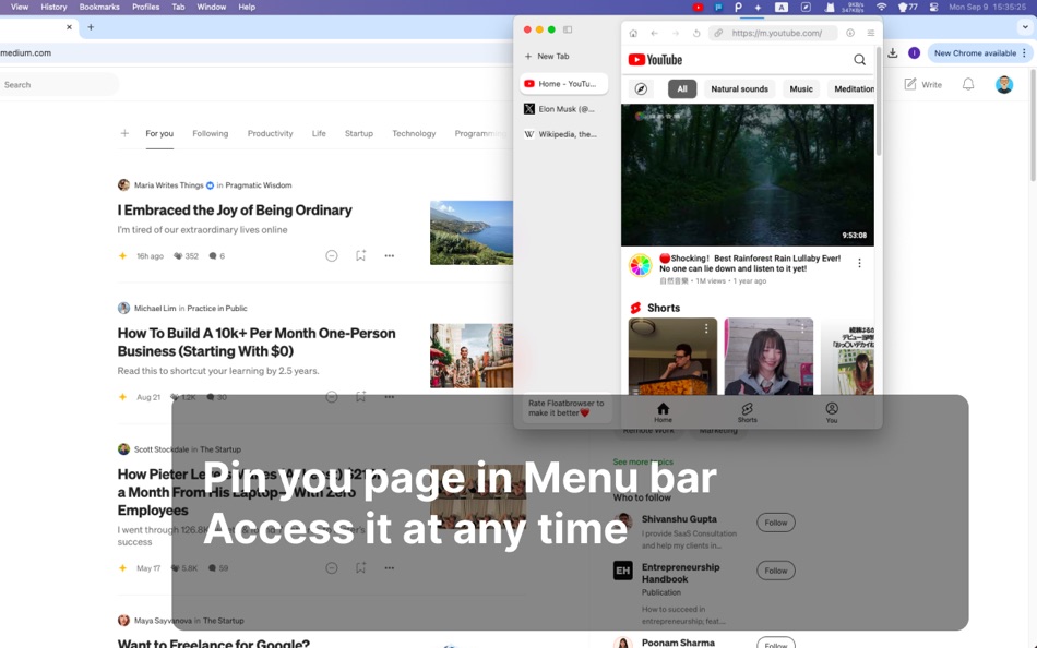 #4. Menubar Browser - FloatBrowser (macOS) Podle: 超 程