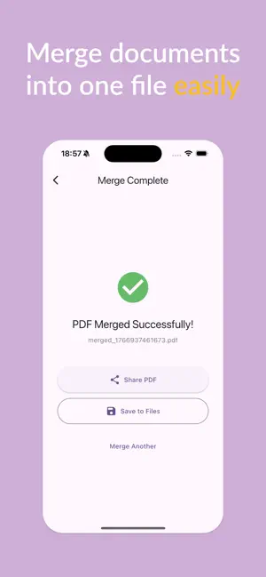 PDF & HTML Merger screenshot 2