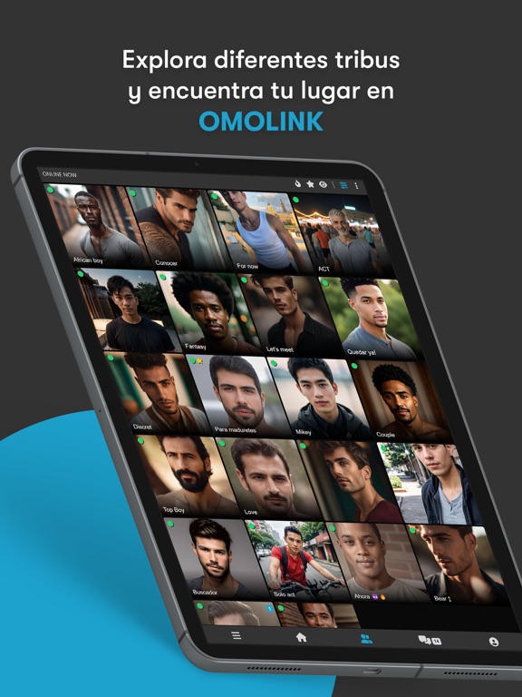 Screenshot #4 pour Omolink