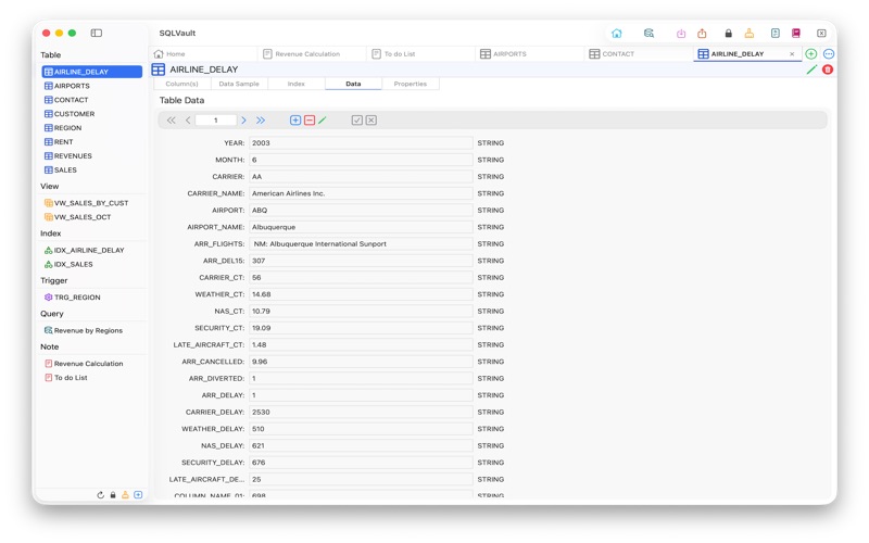SQLVault screenshot