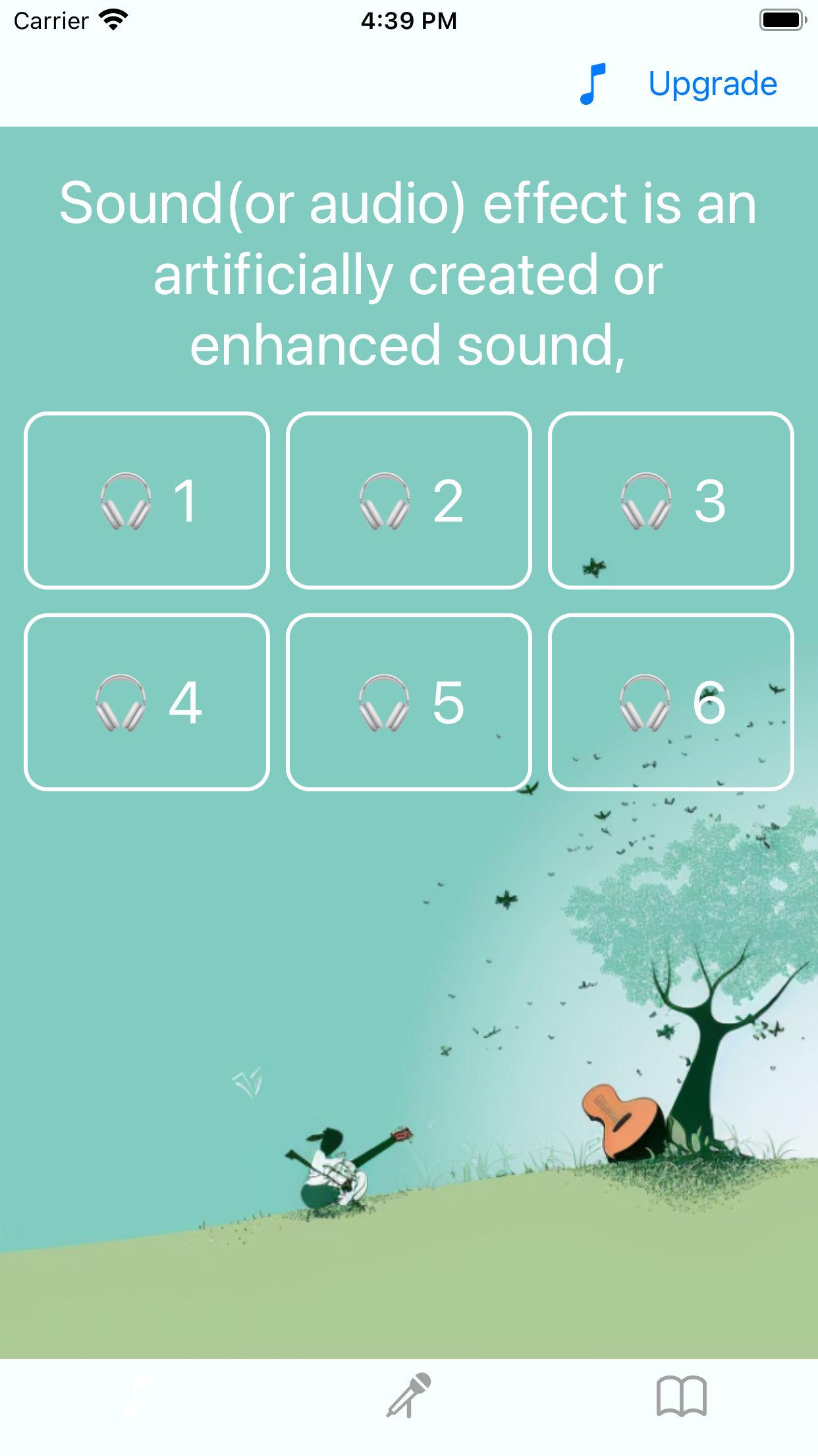 Sound Effect & Pure music