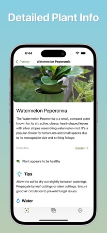 Plant Identifier - Plantxy screenshot