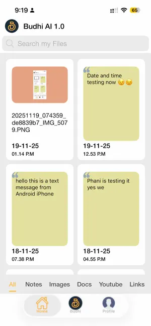 Budhi AI screenshot 3