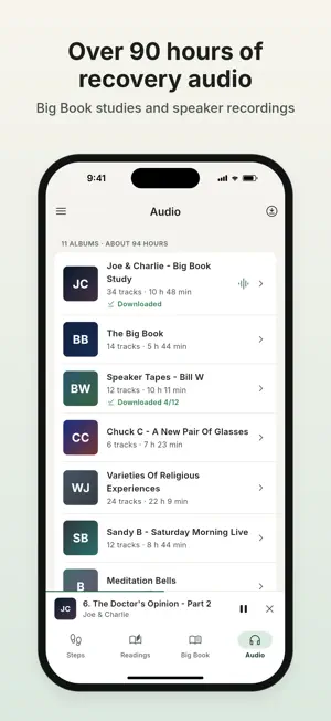 12 Steps Guide screenshot 4