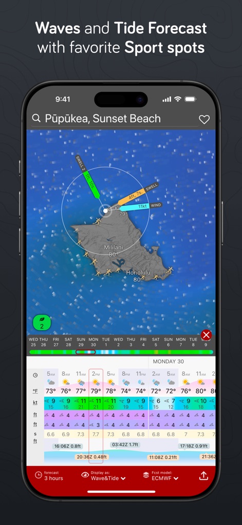 Windy.com - Marine Forecast Mastery