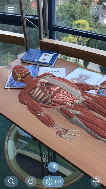AR Anatomy screenshot-6