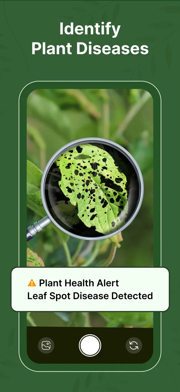 Screenshot #2 pour Plant Identifier: PlantInfo AI