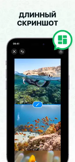 Скриншот ватсап веб - ватсап бизнес ⁺ на iPhone 5