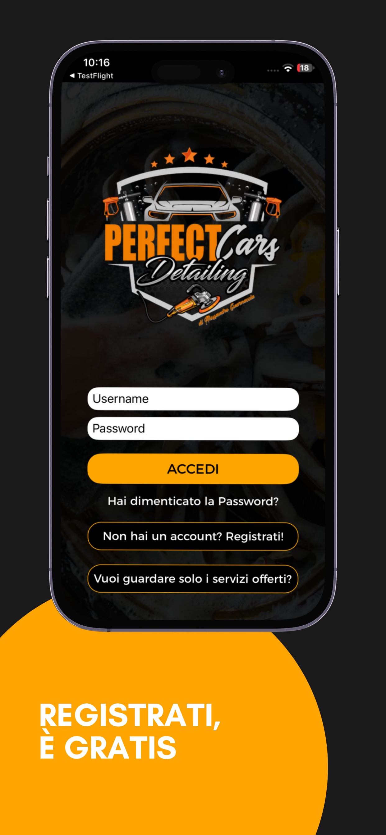 Screenshot 1 of Perfect Cars