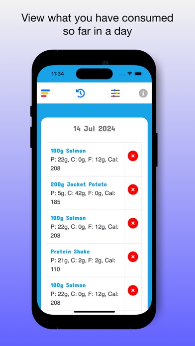 Express Daily Macro Tracker Screenshot