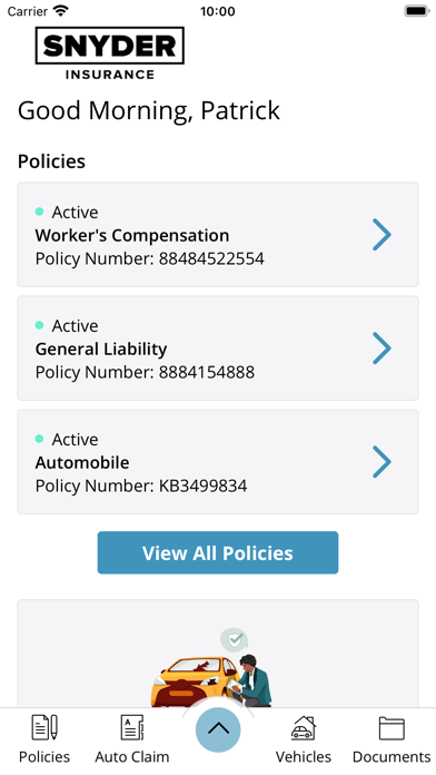 Snyder Insurance Online Screenshot