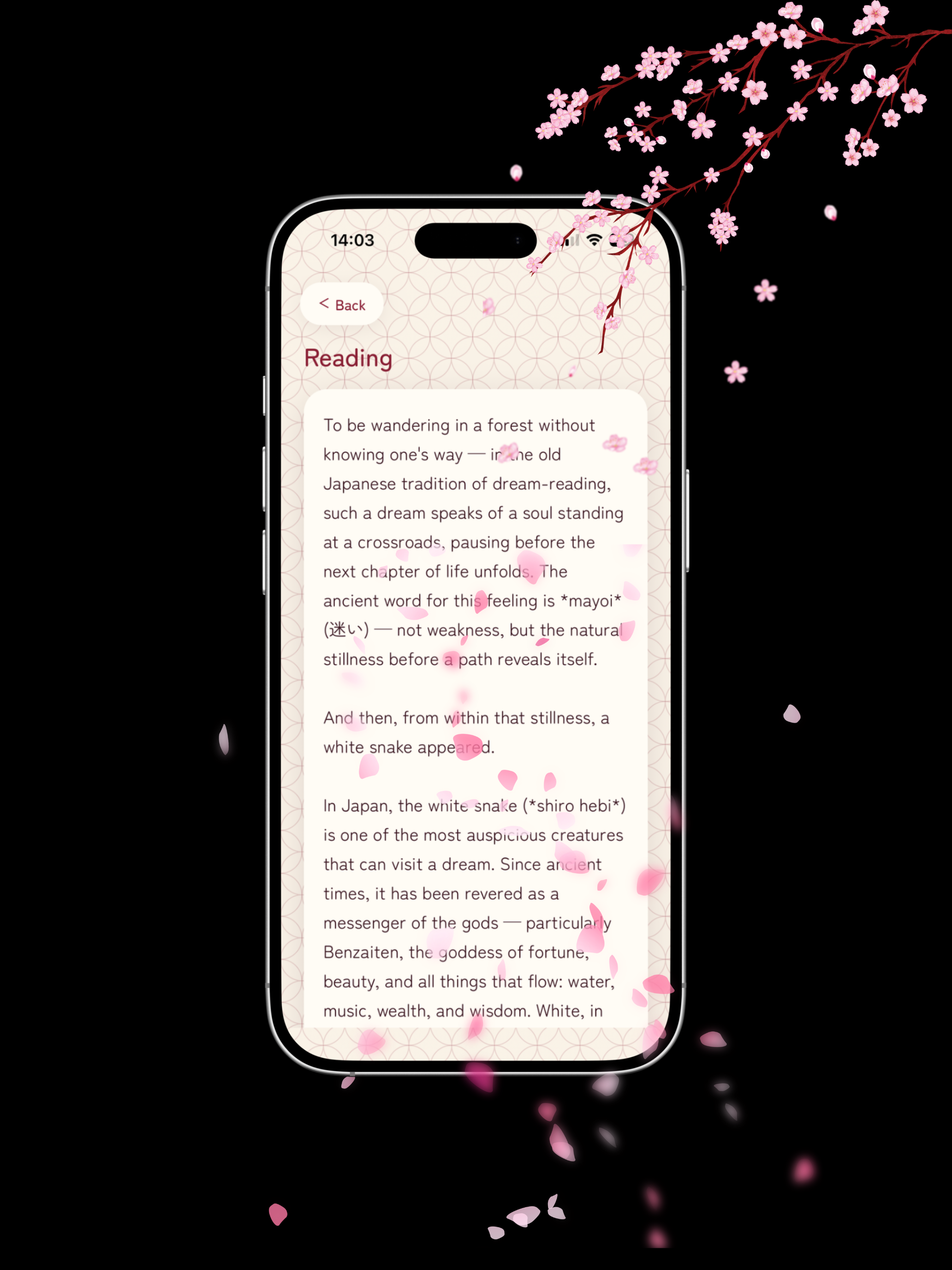 Yumeyomi screenshot 8