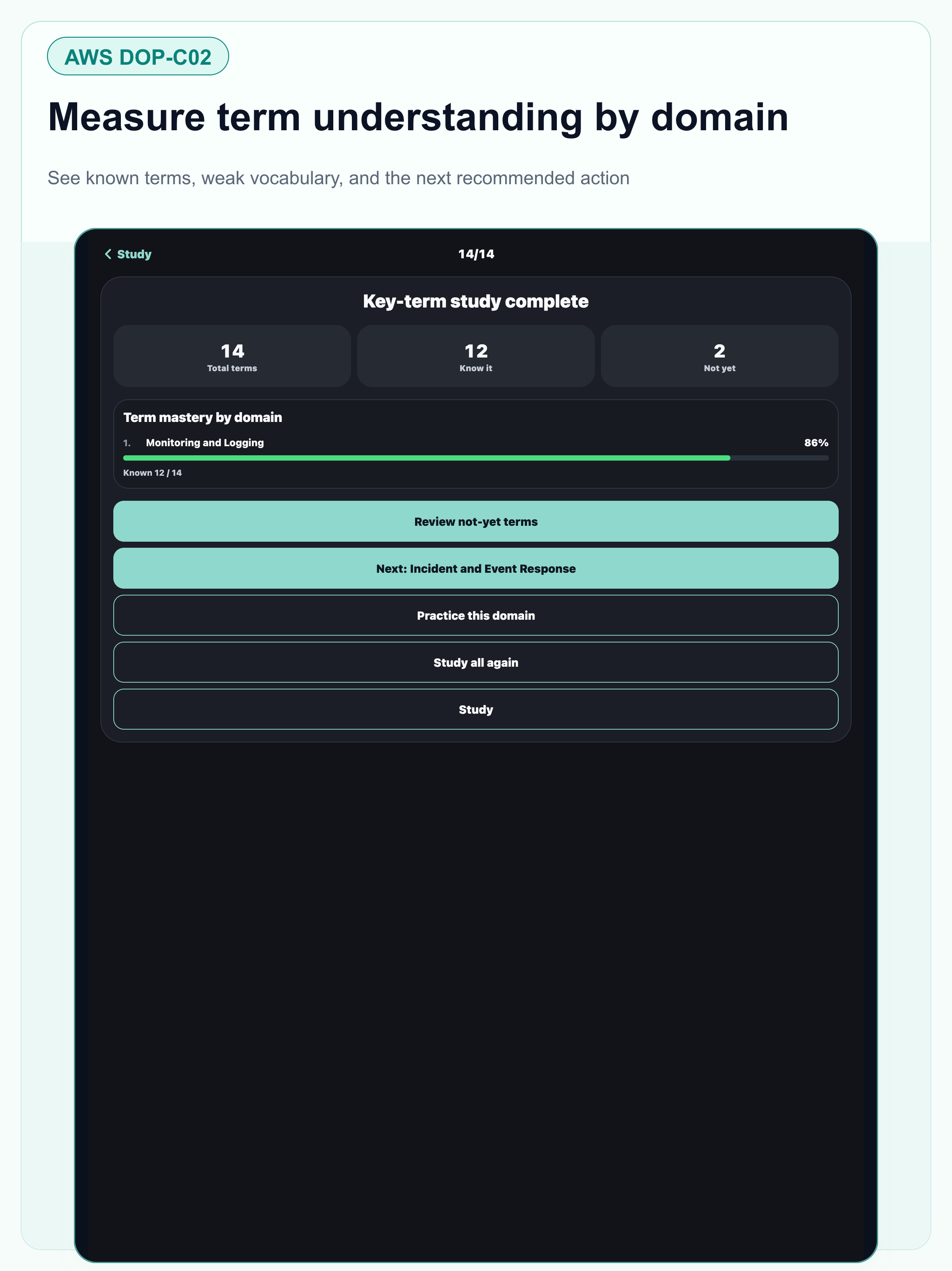 AWS DOP DevOps Professional screenshot 13