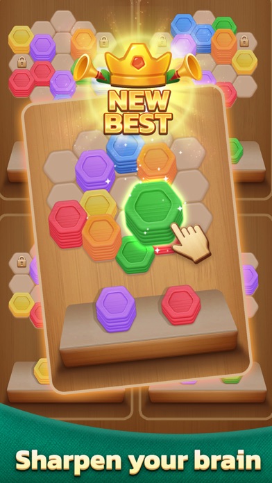 Wood Hexa Puzzle Screenshot