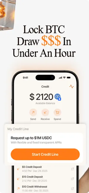 Surge Credit screenshot 2